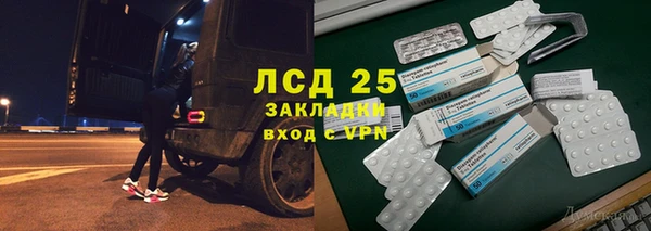 прущие грибы Рославль