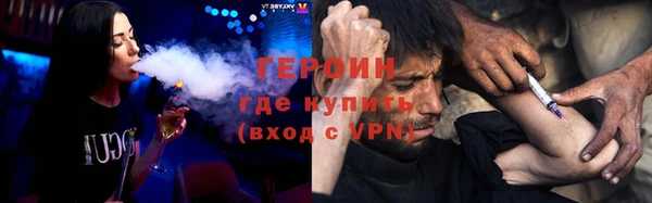 прущие грибы Рославль