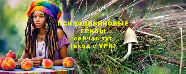 mix Приозерск