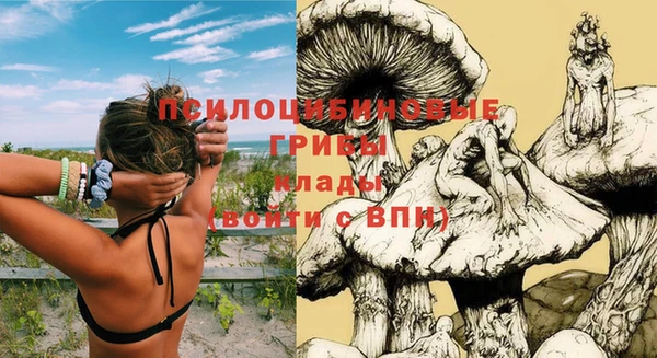герыч Протвино