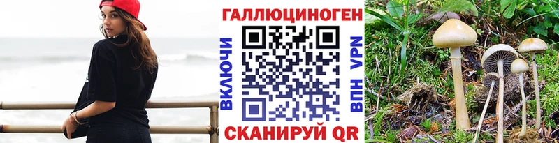 наркотики  Снежинск  Псилоцибиновые грибы MAGIC MUSHROOMS 