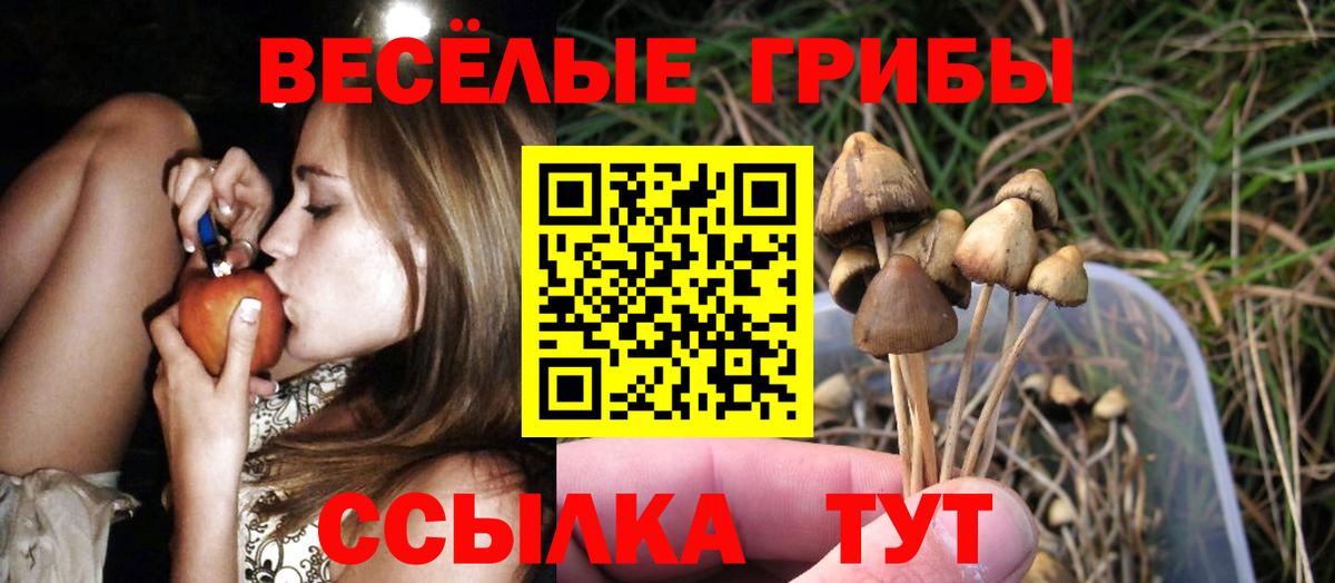 Псилоцибиновые грибы мухоморы  Галлюциногенные грибы ЛСД  Снежинск  Вход с VPN 